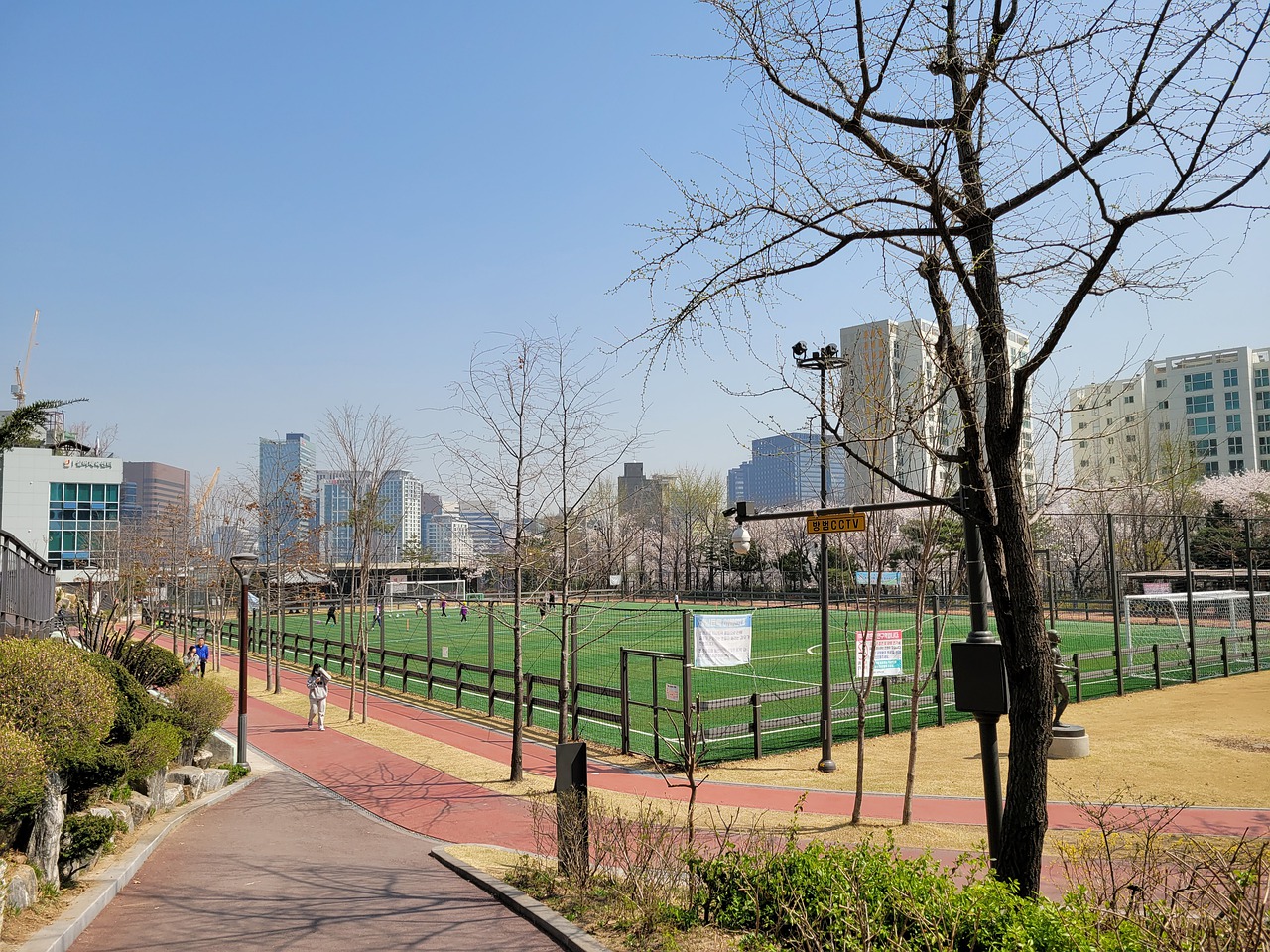 他们的新星