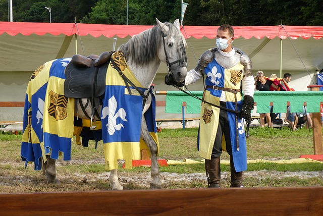 雪世界中 雪世界中